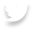 twitter-img